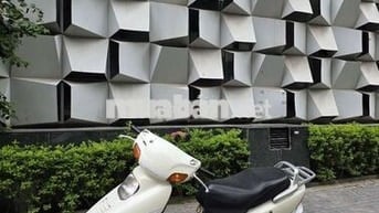 Spacy 1999 Trắng biển 36163