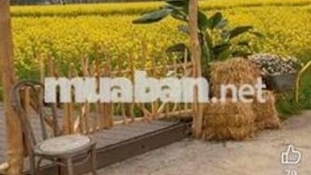 Farm mini đt đẹp kp Lộc an giáp cu chi