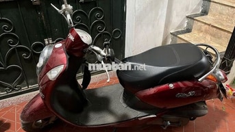 SYM Elite 50cc 2020 Đỏ 10000 km