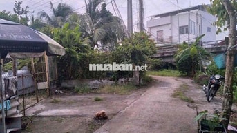 Bán 197m2 đất gần khu hoàng quân