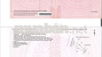 Bán gấp mảnh đất tại Hội Bài - Châu Pha, 5,5 tỷ, 665m2. Đất mặt tiền