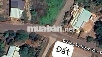 153m2 có 100m2 đất ở ngay trường học Tân Lợi Đồng Nai chỉ 190 triệu 