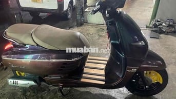 Peugeot Django 2022 Tím xám