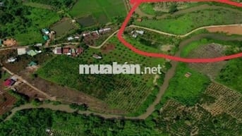 300m mặt tiền đường bê tông, xung quanh bám Suối wiu bán đảo có 102