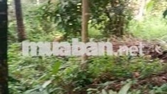 Bán lô đất hẻm An Sơn 56 An Sơn Thuận An Bình Dương