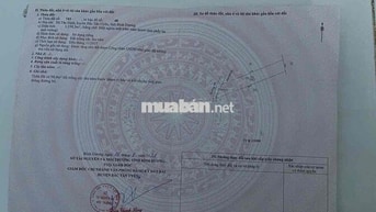 Bán Đất Rẻ nhất xã Tân Định, huyện Bắc Tân Uyên