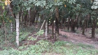 BÁN ĐẤT 5466M2 PHƯỜNG HOÀ LỢI, GẦN KHU DU LỊCH ĐẠI NAM GIÁ TÓT 12,5 TỶ