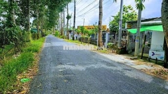 Bán Đất nằm mặt tiền lộ Cái Chanh DT 1.306,2m²,có 160m2 thổ cư