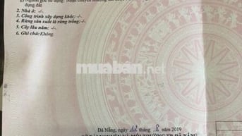 Chính Chủ Bán Đất Đường Hói Kiểng 11 Nam Hòa Xuân Điện Âm Giá 4.3 Tỷ