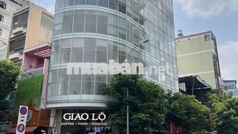 🏢 TÒA NHÀ 2MT Lê Thị Hồng Gấm Q1 • 7 Tầng TM • Giá TL 🔥