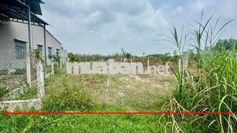 🔥Em cần bán đất 295m2 giá tốt tại An Thới, Trảng Bàng