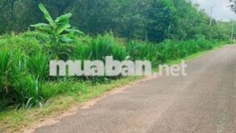 Bán đất tại Thôn 1, Nguyễn Thị Minh Khai, 13,2 tỷ, 21458 m2 Ghi chú