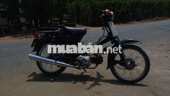Honda Cup màu Xanh đậm