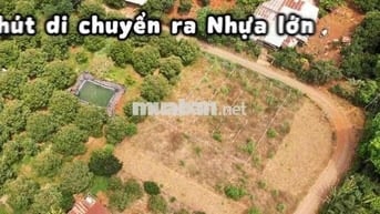 499tr Đất Full thổ Cẩm Mỹ Đồng Nai