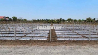 Bán 2 Lô Đất 5x30 Liền Kề Giá Ngộp