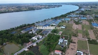 Chỉ 250 triệu đất mặt tiền ĐH83, xã Tân Phú, Tân Phú Đông, Tiền Giang 