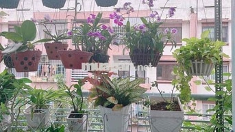 Q. TÂN PHÚ, SỔ LÂU DÀI, LẦU 2,  CC Sơn Kỳ ,DT 58m 2PN 1WC giá 2Ty650T