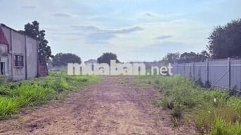 Chính chủ cần bán gấp mặt tiền Đỗ Văn Dậy, diện tích 1877m2 full thổ .