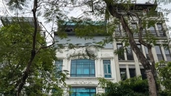 Bán nhà mặt phố siêu VIP Lê Hồng Phong, Ba Đình, 105m2, mặt tiền 6.5m