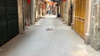 CĂN NHÀ DÀNH CHO NGƯỜI KHÔNG THÍCH… ĐI BỘ 