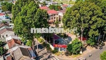 Đất ngộp trung tâm phường Bình Lộc thành phố Đồng Nai