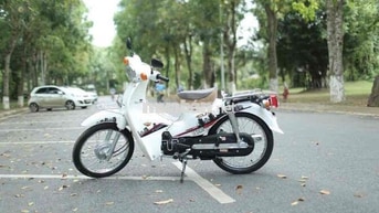 Xe Cub màu Trắng