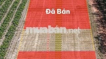 ĐẤT NGAY CAO TỐC CHỈ 460 TRIỆU