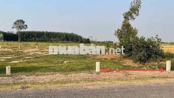 Hảo Đước- Châu Thành mặt tiền nhựa quy hoạch 17m dt 250m2 sẵn thổ 2xx