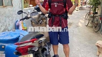 Xe máy Novol Vàng đồng