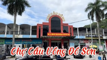 Chính chủ cho thuê 162m² siêu đẹp gần trung tâm chợ Đồ Sơn Hải Phòng
