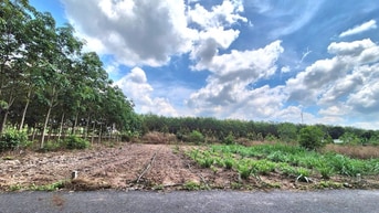 420m2 - 100m2TC- 610tr (bao phí) cách trường học - chợ An Linh 500m