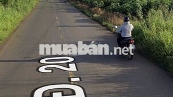 Bán đất tại Ấp An Bình,Xã Hưng Thịnh, Đồng Nai 4,9 tỷ, 190 m2