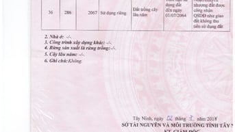 Cần bán đất ấp Suối Cao B, xã Phước Đông, Gò Dầu, Tây Ninh