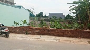 📈 ĐẤT PHÚ CÁT – GIỮ TIỀN THÔNG MINH, ĐÓN SÓNG HÒA LẠC