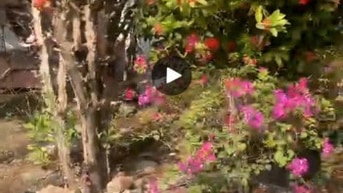 🏡 CHÍNH CHỦ BÁN ĐẤT – KHÔNG QUA MÔI GIỚI 🏡