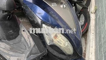 Kymco Candy Hi 50 2014 Xanh