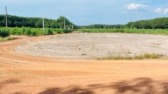 2487m2 đất thành phố Hồ Chí Minh Chỉ 699tr sang tên ngay