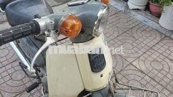 Honda Cup 81-50 Xám, Trắng kem