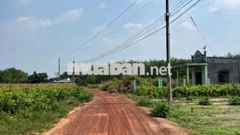 Kẹt tiền bán đất vườn 2142m2 giá 890tr xả phước thành HCM sổ hồng