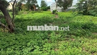 CHỈ 2,5TY/ 800M2 ĐẤT Ở KHU VỰC SÁT CHỢ HÒA BÌNH SỔ HỒNG RIÊNG, KDC