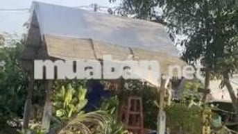 đất nn đa mục đích- gần 1 hec ta