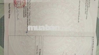 “Chính chủ bán nhà 8×17 – gần ngã 3 Cầu Cháy – Đại Phước – giá tốt”