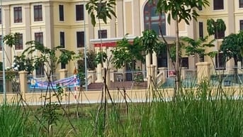 Đất ở đô thị Thủ Thừa 6*18 sổ hồng riêng sang tên ngay trong ngày 