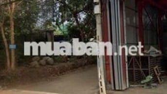 cho thuê nhà nguyên căn khu vực tân lợi