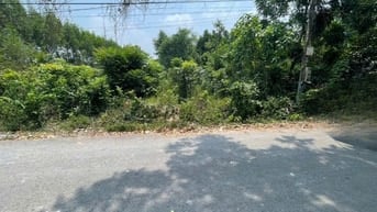 CHÍNH CHỦ BÁN ĐẤT TÂN THÀNH 11 (494.3m² – FULL THỔ CƯ – ĐẤT RỘNG ĐẸP