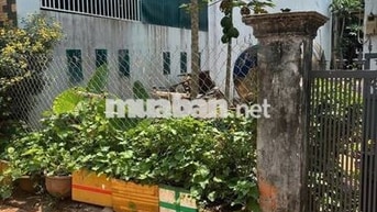 Bán lô đất hẻm Đỗ Nhuận (có sẵn nhà cấp 4) Phường Tân Lợi  vị trí đẹp