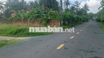 ĐẤT ĐẸP GIAO LONG CHÂU THÀNH, BẾN TRE | Ô TÔ VÀO TẬN NƠI