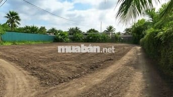 Đất ngộp vị trí cực đẹp cần bán