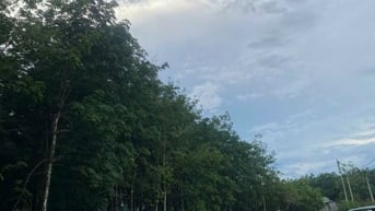 Thông báo đấu giá tài sản của Ông Nguyễn Công Tường (tỉnh Đồng Nai)