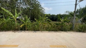 CHÍNH CHỦ BÁN ĐẤT TÂN THÀNH 56 FULL THỔ CƯ (708.5m² – NGANG 12M)